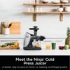 Ninja Cold Press Juicer Pro review Powerful masticating juicer with customizable settings