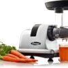 Comprehensive Review of Omega Cold Press Juicer Machine for Healthy Juices and More