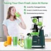 71YOWS5gV2L._AC_SL1500_ Aeitto Cold Press Juicer Review Slow Masticating Design for Fruits and Vegetables